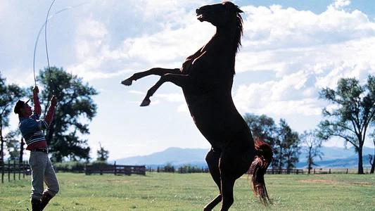 Foto de El señor de los caballos