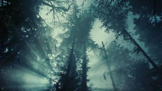 Foto de Crepúsculo