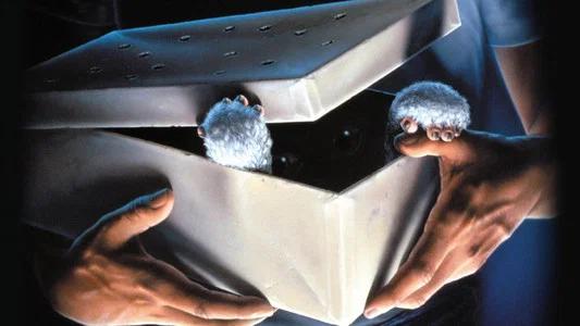 Foto de Gremlins