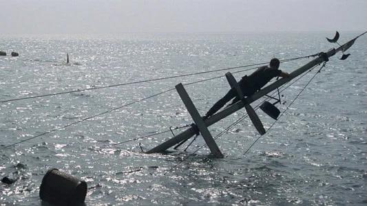Foto de Tiburón