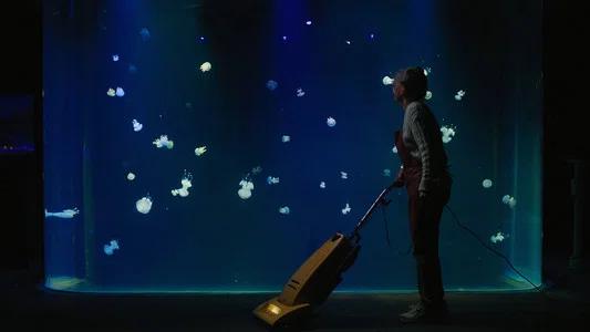Foto de Criaturas luminosas