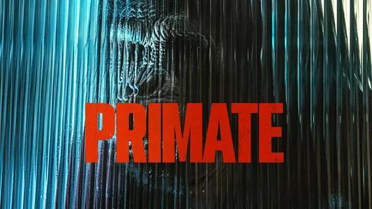 Foto de Primate