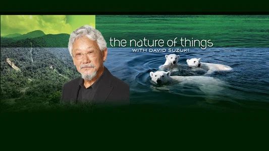 Foto de The Nature of Things