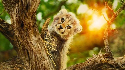 Foto de Salvajes por naturaleza
