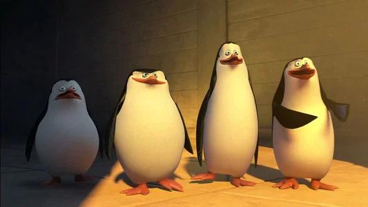 Foto de Los Pingüinos de Madagascar