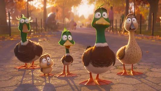 Foto de ¡Patos!