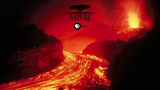 Foto de Nature