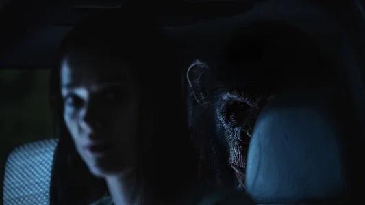 Foto de Primate