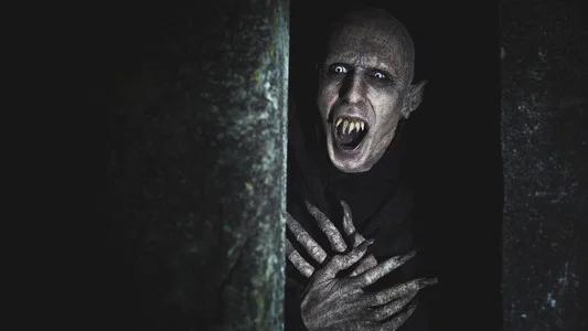 Foto de Lo que hacemos en las sombras