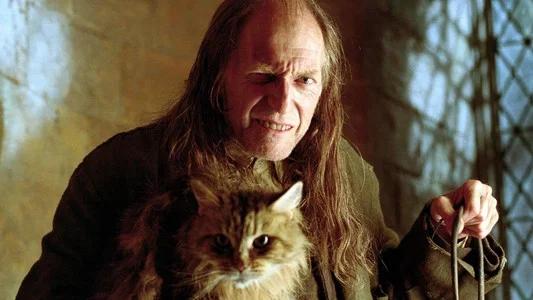 Foto de Harry Potter y el cáliz de fuego