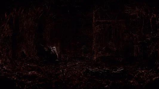 Foto de Terror en Silent Hill