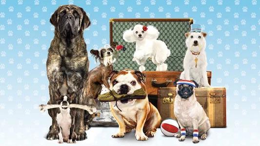 Foto de Hotel para Perros