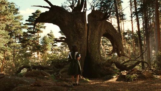 Foto de El laberinto del fauno