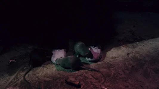 Foto de Terrifier