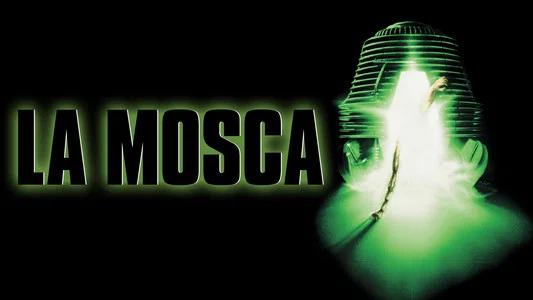Foto de La mosca