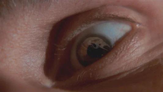 Foto de Scream: Grita antes de morir