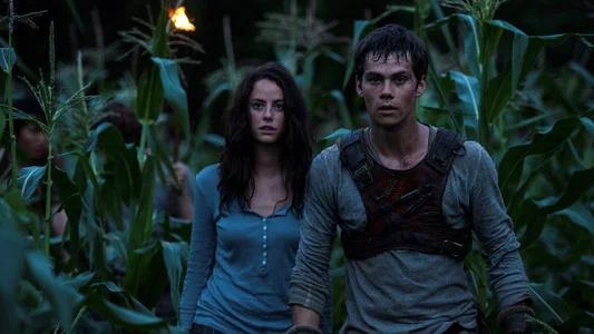 Foto de Maze Runner: Correr o morir