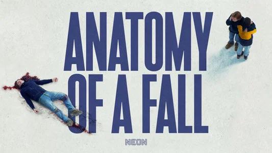 Foto de Anatomía de una Caída