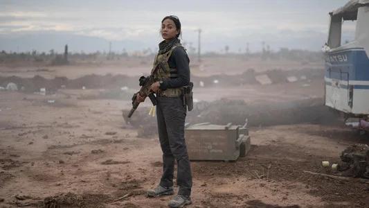 Foto de Operativo: Lioness