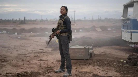 Foto de Operativo: Lioness