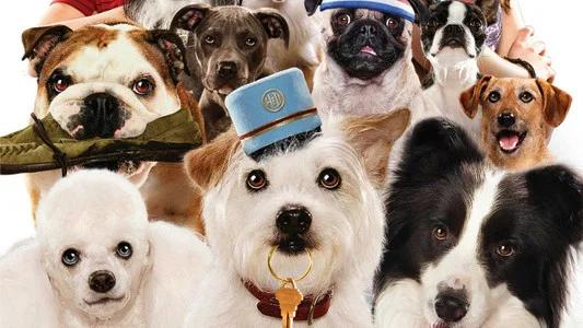 Foto de Hotel para Perros