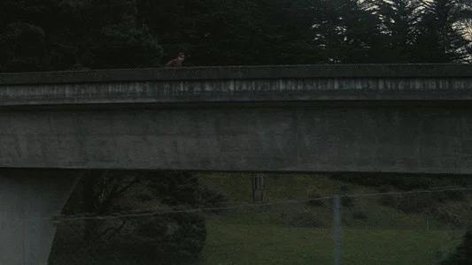 Foto de Una batalla tras otra