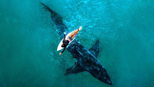 Foto de Shark Week 30 Años