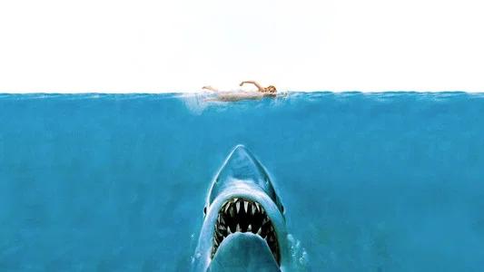 Foto de Tiburón