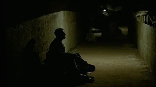 Foto de El brutalista