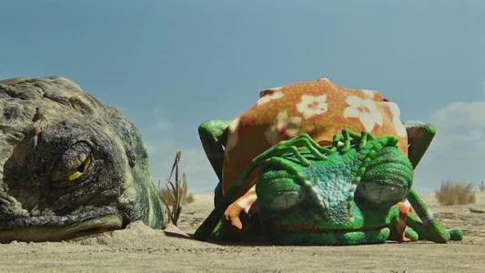 Foto de Rango