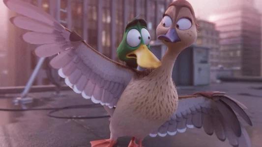 Foto de ¡Patos!