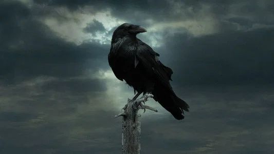 Foto de Game of Thrones