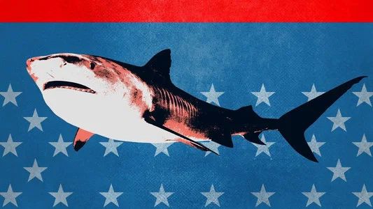 Foto de Shark Week 30 Años