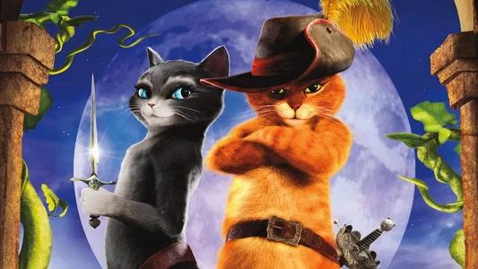 Foto de Gato con Botas
