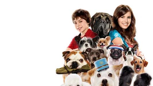 Foto de Hotel para Perros