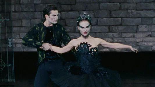 Foto de El cisne negro