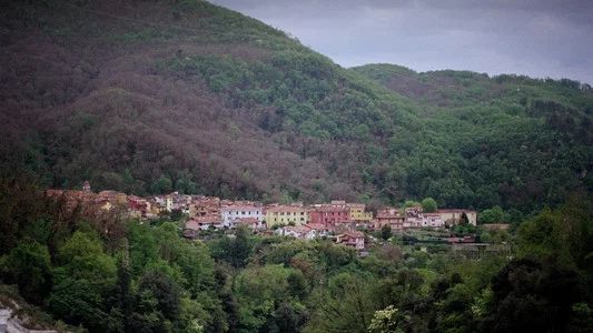 Foto de El brutalista