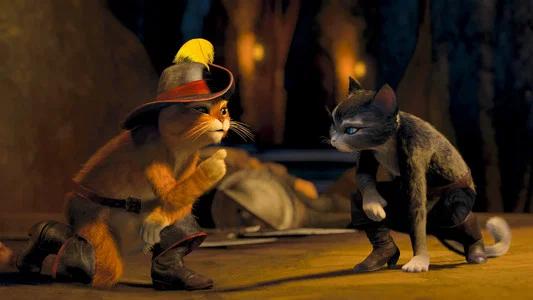 Foto de Gato con Botas