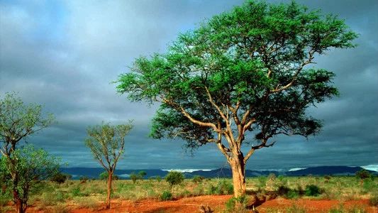 Foto de Nature