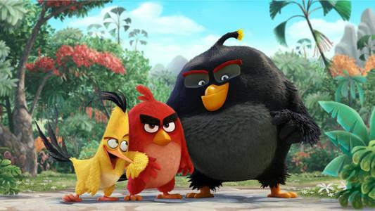 Foto de Angry Birds: La Película
