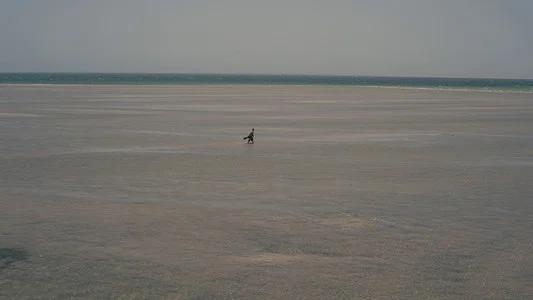 Foto de La Odisea