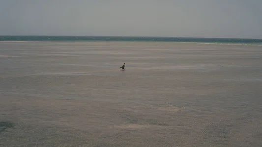 Foto de La Odisea