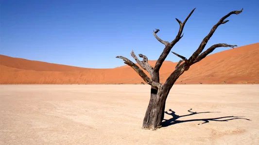 Foto de Nature