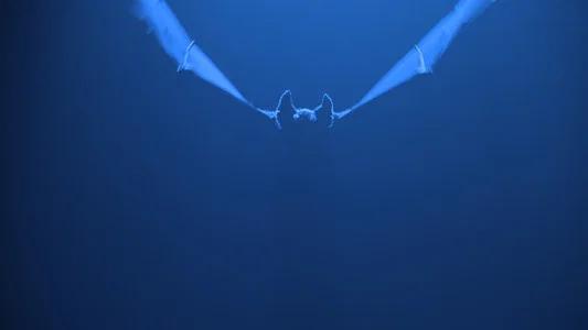 Foto de Batman eternamente