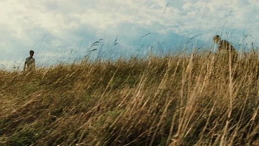 Foto de Harry Potter y la orden del Fénix