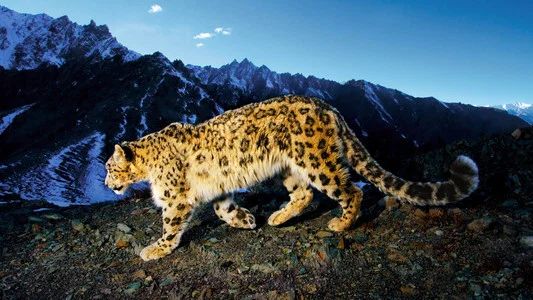 Foto de National Geographic Explorer