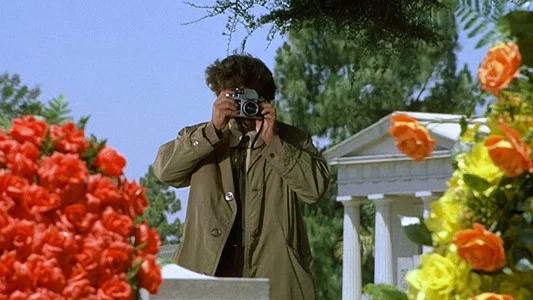 Foto de Columbo