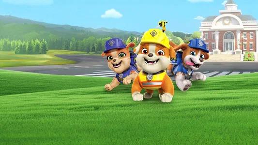 Foto de Rubble y Equipo