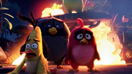 Foto de Angry Birds: La Película