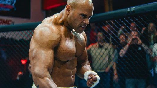 Foto de Lion Fist